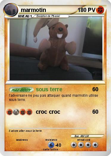 Pokemon marmotin