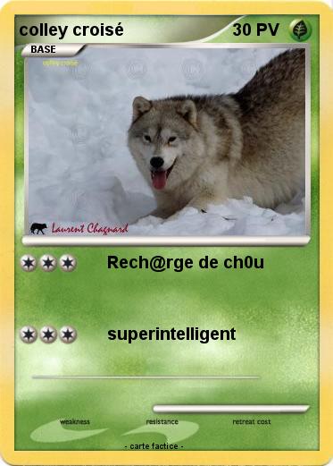 Pokemon colley croisé