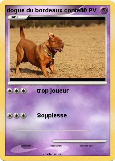 Pokemon dogue du bordeaux content