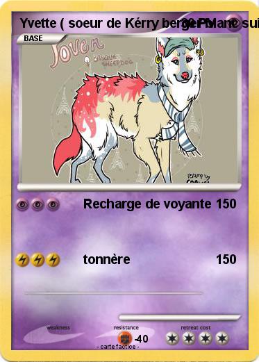 Pokemon Yvette ( soeur de Kérry berger blanc suisse )