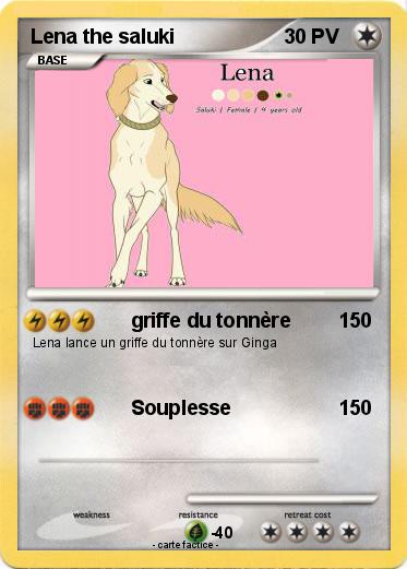 Pokemon Lena the saluki