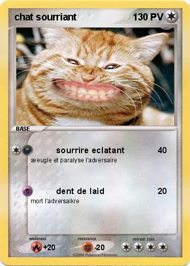 Pokemon chat sourriant