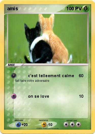 Pokemon amis