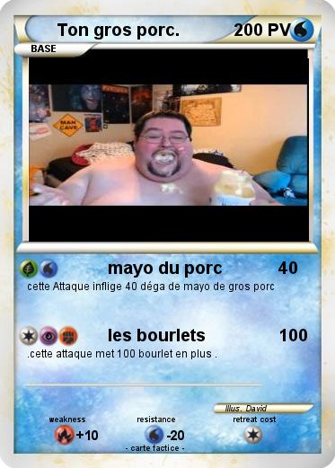 Pokemon Ton gros porc.