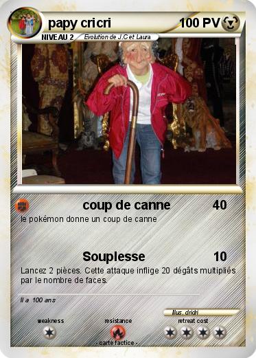 Pokemon papy cricri