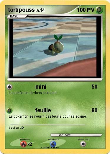 Pokemon tortipouss