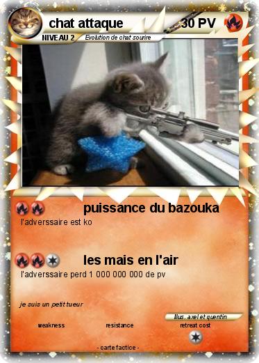 Pokemon chat attaque
