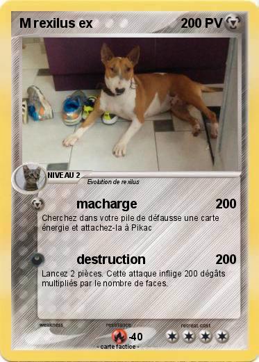 Pokemon M rexilus ex