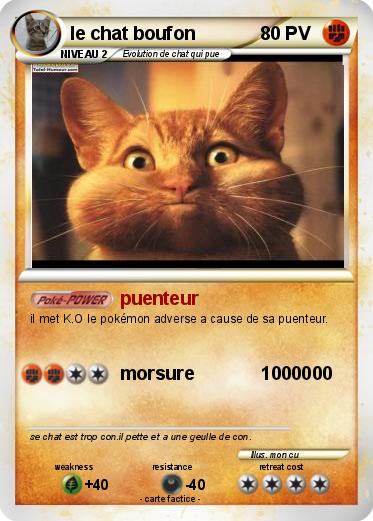 Pokemon le chat boufon