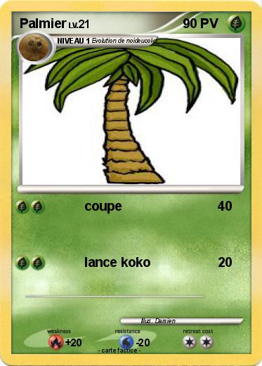 Pokemon Palmier