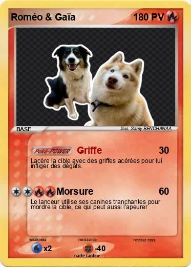 Pokemon Roméo & Gaïa
