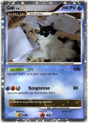 Pokemon Gali