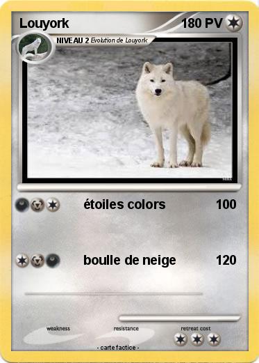 Pokemon Louyork