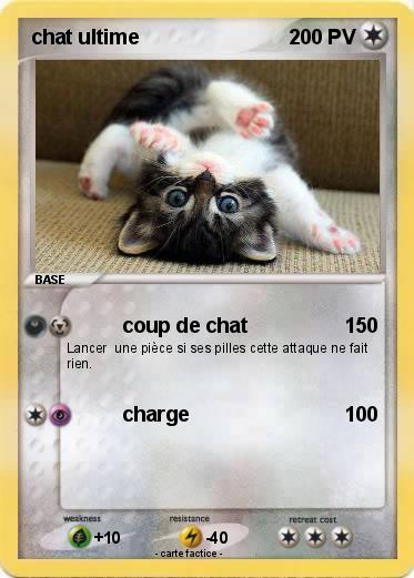 Pokemon chat ultime