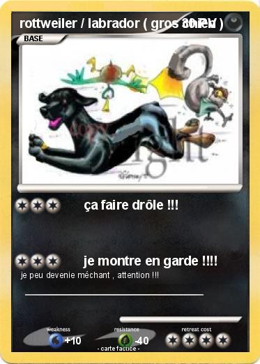 Pokemon rottweiler / labrador ( gros chien )