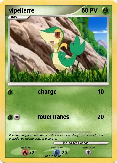 Pokemon vipelierre