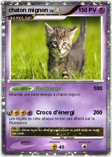 Pokemon chaton mignon