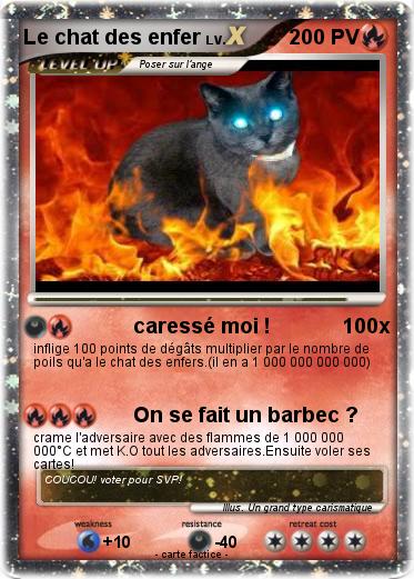 Pokemon Le chat des enfer