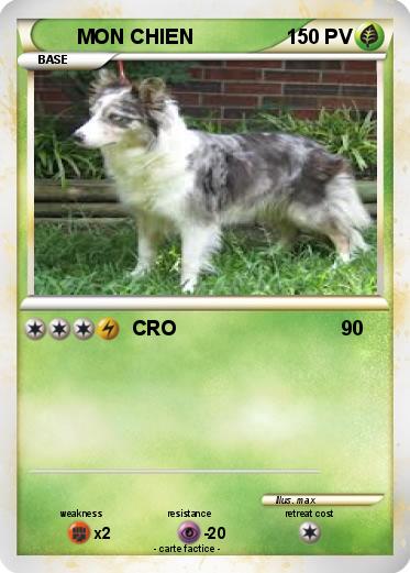 Pokemon MON CHIEN