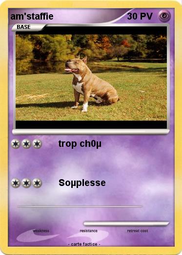 Pokemon am'staffie