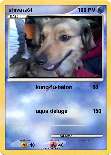 Pokemon shiva