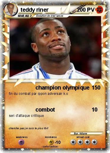 Pokemon teddy riner