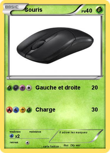Pokemon Souris