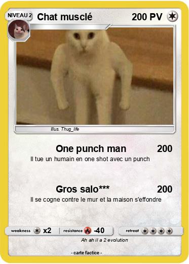 Pokemon Chat musclé