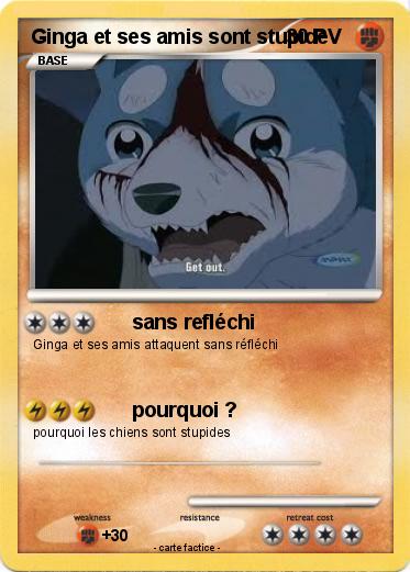 Pokemon Ginga et ses amis sont stupide