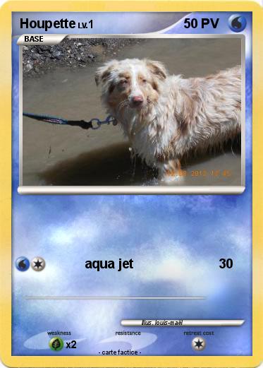 Pokemon Houpette