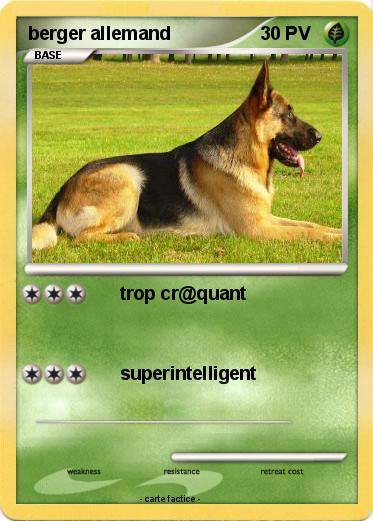 Pokemon berger allemand