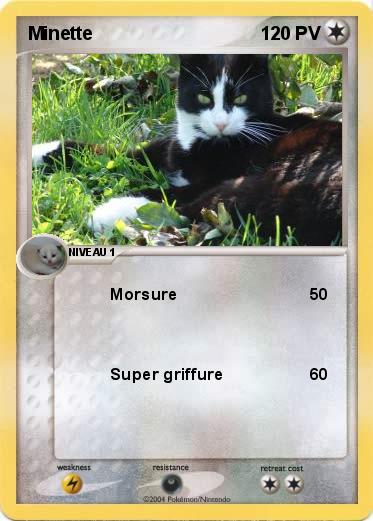 Pokemon Minette