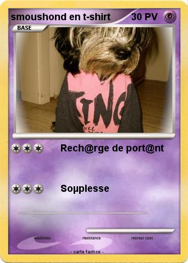 Pokemon smoushond en t-shirt