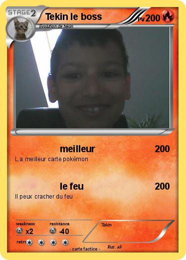 Pokemon Tekin le boss
