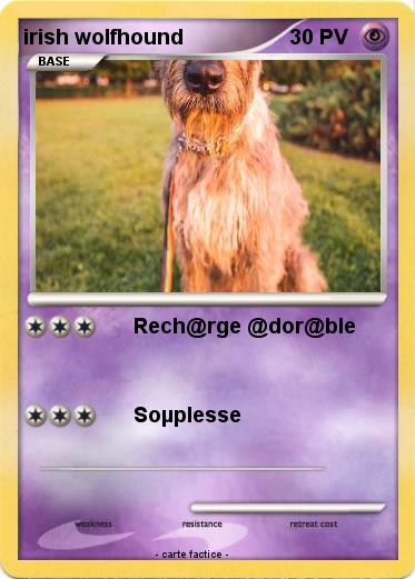 Pokemon irish wolfhound