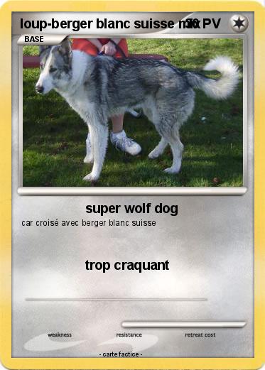 Pokemon loup-berger blanc suisse mix