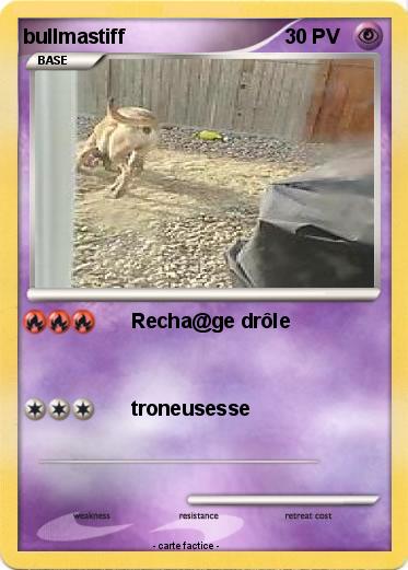 Pokemon bullmastiff