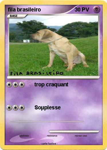 Pokemon fila brasileiro