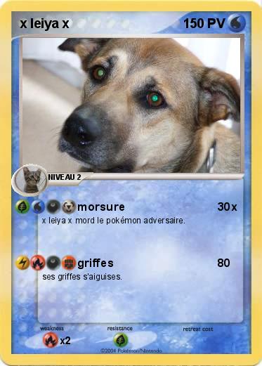 Pokemon x leiya x