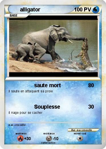 Pokemon alligator