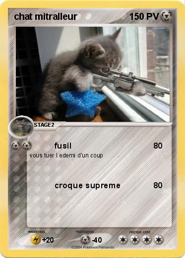 Pokemon chat mitralleur