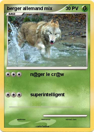 Pokemon berger allemand mix