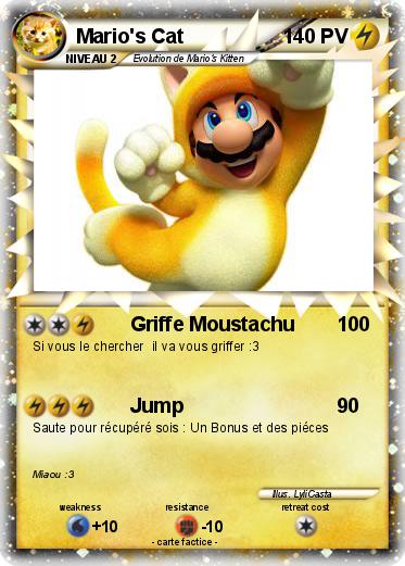 Pokemon Mario's Cat