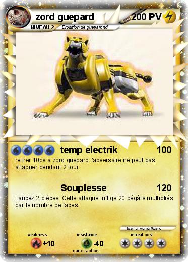 Pokemon zord guepard