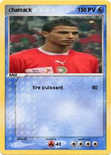 Pokemon chamack