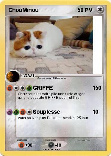 Pokemon ChouMinou
