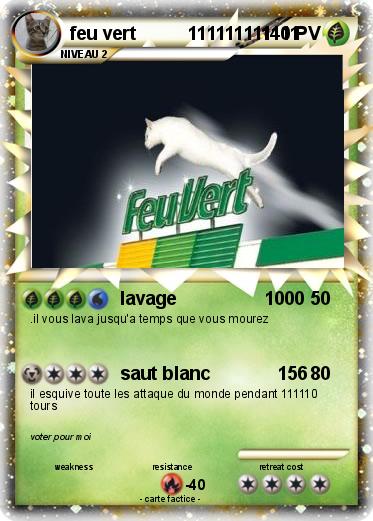 Pokemon feu vert          111111111111