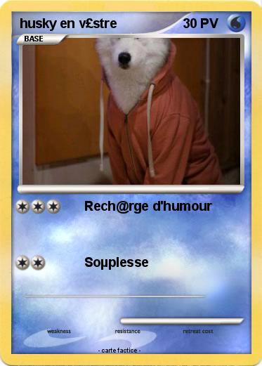 Pokemon husky en v£stre