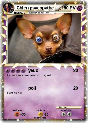 Pokemon Chien psycopathe