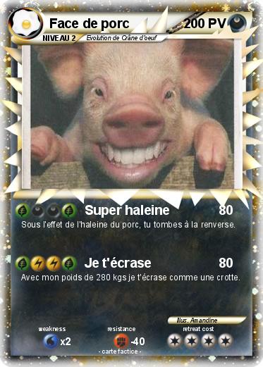 Pokemon Face de porc